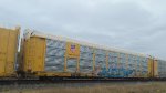 UP 21233 (Body) TTGX 159941 (Flat)